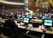 El Pleno de la Asamblea aprobó en primer debate la modificación al artículo 119 de la Constitución.