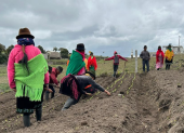 En los sectores rurales se realizan los huertos orgánicos por parte de la Municipalidad de Latacunga.