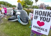 Miami. Personas protestas en las afueras del Miami Seaquarium.