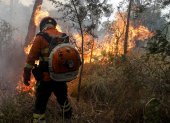 Un bombero trabaja en la extinción de un incendio este domingo 30 de junio en Pantanal (Brasil).