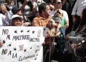 Los ciudadanos que participaron en la marcha rechazaron la eutanasia que ha aplicado la Unidad de Bienestar Animal (UBA) a los animales rescatados.
