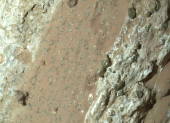 Persevere ha encontrado una interesante roca que podría ser el mejor indicio hasta la fecha de que en el pasado hubo vida microbiana en el planeta rojo.