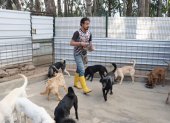 PAE tiene un refugio de rescate animal y también un espacio para las adopciones responsables, en Alangasí, suroriente de Quito.