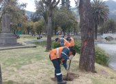 En total se intervendrá en 11.956 metros cuadrados del parque La Alameda.