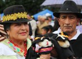 Una pareja sosteniendo dos cuy disfrazados de campesinos en Urbina (Ecuador), participando en el cuarto Festival del Cuy de Ecuador, una fiesta en torno al roedor más emblemático de los Andes.