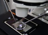 El proceso de fertilización "in vitro" con un microscopio.