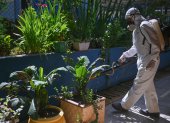 Un trabajador durante una jornada de fumigación al interior de una escuela en la región administrativa de Ceilândia, en Brasilia (Brasil).