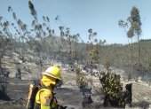 La Secretaría de Gestión de Riesgos actualizó la cifra de incendios en Ecuador. Se trata de 18 siniestros, se han podido controlar dos adicionales.