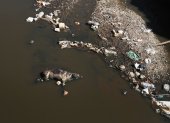 Fotografía aérea de un animal muerto, en Viacha (Bolivia).