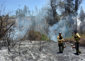 Un equipo de Bomberos inspeccionaba una zona del fuego en El Quinche.