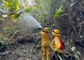 Bomberos de la zona centro del país trabajaron en la extinción del incendio.
