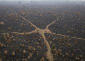 Fotografía aérea que muestra la afectación por incendios de una zona del Parque Estatal Guajará Mirim este miércoles, en Nova Mamoré (Brasil).