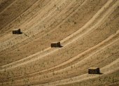 Bloques de paca de paja aparecen en una finca búlgara de trigo.