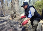 Policía recoge el cadaver de un animal silvestro calcinado por el fuego en el bosque