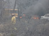 Un incendio forestal afectó un tramo del parque Samanes, en el norte de Guayaquil, la tarde de este jueves 26 de septiembre.