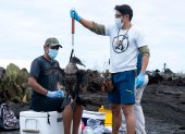 Dos científicos examinando un ave en las Islas Galápagos (Ecuador).