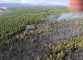 Más de 300 hectáreas se vieron afectadas en el incendio forestal de Pansache.