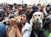 Estaba previsto que al menos 300 personas lleguen a la iglesia de San Francisco para solicitar la bendición de sus mascotas en Quito.
