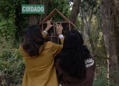Programa. Los estudiantes hacen hoteles para las especies amenazadas.