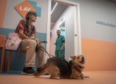 La primera clínica veterinaria social de Italia ha abierto sus puertas en Roma, con el objetivo de atender de forma totalmente gratuita a las mascotas de las personas más vulnerables.