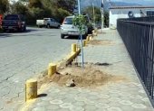 Este proyecto comenzó con los trabajos previos para la siembra de los primeros árboles en Puembo