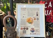 Muestra. La exposición contiene un escrito sobre el origen del cacao.