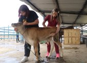 Estudios. Universitarios trabajan en proyectos de sostenibilidad y seguridad animal en haciendas protegidas.