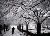 Una persona camina en un sendero de parque en París, durante el temporal de nieve y hielo que afectó a Francia.