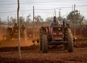 ACOMPAÑA CRONICA : HURACANES ATLÁNTICO AME461. ARTEMISA (CUBA), 24/11/2024.- Dos hombres sobre tractores trabajan arando la tierra afectada por el paso del huracán Rafael, este miércoles, en Artemisa (CUBA). Cuando Lázaro Elien, cubano de 57 años, habla sobre los cultivos que no pudo salvar del huracán Rafael, no lo hace a la ligera. Detrás de él hay un camión repleto de plátanos macho que serán desechados: “El año se fue... lo perdimos todo, prácticamente”, dice a EFE con resignación. EFE/ Yander Zamora