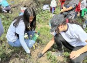 con palas, rastrillos y azadones cientos de personas se congregaron en las zonas afectadas por los incendios para sembrar árboles