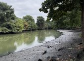 La contaminación de los cuerpos de agua del país es un tema que preocupa a la academia; sin embargo, en los planes de trabajo de los presidenciables escasean las soluciones.
