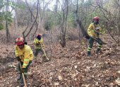 Bomberos realizaron tareas para sofocar los pequeños focos activos en el Cerro Azul.