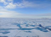 El hielo marino del Ártico se derrite a un ritmo sin precedentes. CRÉDITO: Céline Heuzé/Universidad de Gotemburgo.