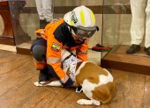 Los bomberos demostraron técnicas para apaciguar a los amigos de cuatro patas.
