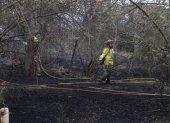 Un incendio forestal se registra junto a la autopista Narcisa de Jesús, en el norte de Guayaquil, la tarde de este jeuves 19 de diciembre.