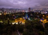 Ciprés de más de 35 años adornado como árbol de Navidad en Quito se encuentra en el Jardín Botánico, en el parque La Carolina