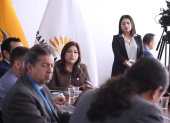 La oficialista Inés Alarcón preside la mesa de Seguirdad.