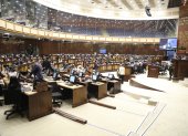 El Pleno de la Asamblea sesionó de forma virtual este 4 de enero de 2025.