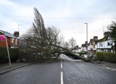 Belfast. Un árbol caído en una calle de la capital de Irlanda del Norte.