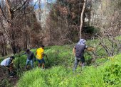 En El Panecillo se limpiaron grandes terrenos y se hizo el mantenimiento de árboles plantados.