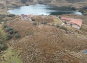 Hecho. Tras el incendio de noviembre pasado mucha vegetación quedó afectada.