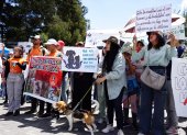 En Quito animalistas y ciudadanía realizaron una marcha para exigir que se archive el proyecto del ley LODA