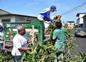 Además de restos plasticos y comida, también se encontró restos de arboles o palmeras en las aceras.