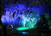 El Bosque de Luz es una instalación artística inmersiva con 17 estaciones de luces