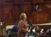 La asambleísta Pierina Correa resumió el informe sobre el caso Malvinas.