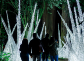 Luces, naturaleza y conservación se unen en el Bosque de Luz en Quito para apoyar la campaña a "Un hábitat para Sisa"