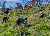 En una reforestación, organizada por la Secretaría de Ambiente de Quito, en el 2024.