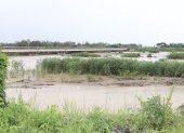 Sedimentos. A pesar de que, en 2024, la Empresa Pública del Agua hizo una limpieza de esta zona de la derivadora Cañar, otra vez se ha azolvado.