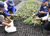 ONG. La Fundación Heifer en Ecuador impulsa la sostenibilidad en el campos en distintas provincias.