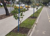 El 28 de febrero vandalizaron 23 árboles del nuevo bulevar de La Shyris.